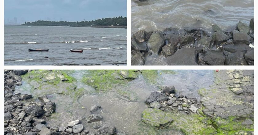 No damage due to oil spill near Uran