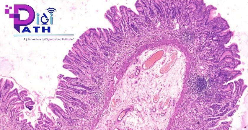DigiPath: Pioneering the Digital Revolution in Diagnostic Pathology