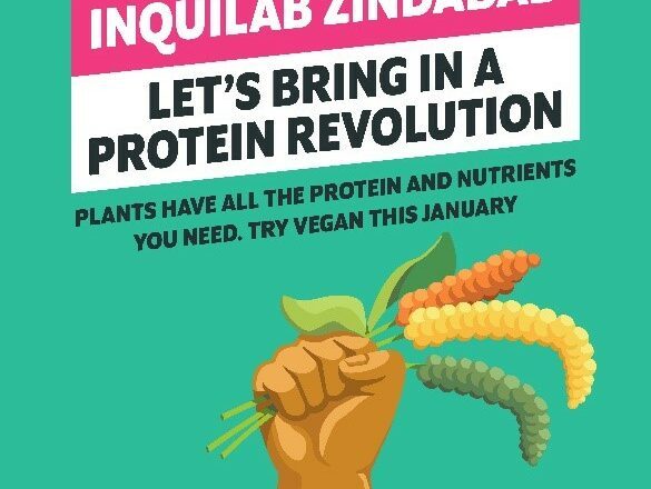 Veganuary 2024 campaign – driving global change with a plant-based challenge