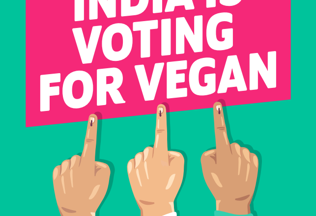 India Votes For Vegan It is a clear majority as nearly 60% Indians want to try vegan.