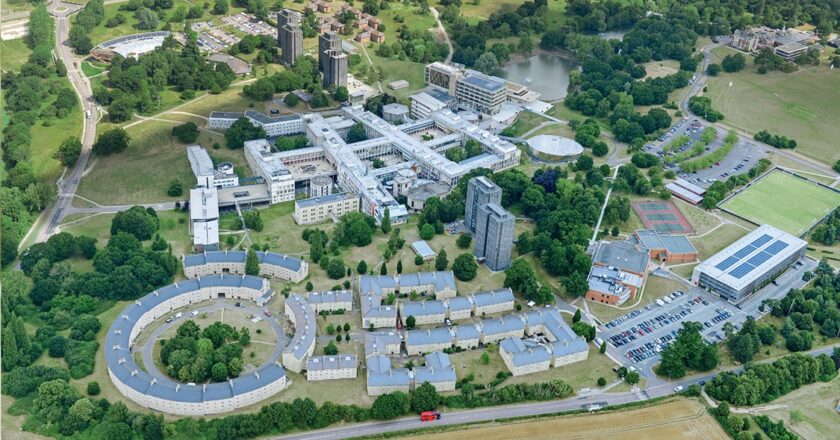 University of Essex hosts first-ever Graduation Day ceremony in India