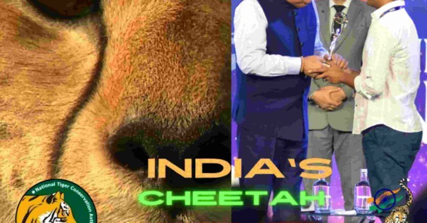 Abhishek Ray creates India’s national Cheetah anthem for NTCA.