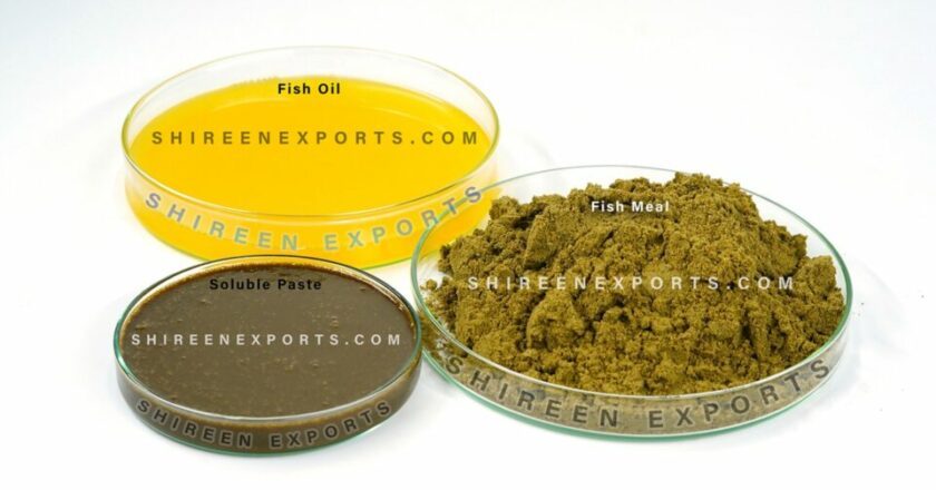 Discover the Unmatched Quality for Premium Fish Meal Manufacturer , Fish oil and Fish Soluble Paste – Setting Global Standards from India