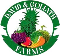 HARVEST FOR HUMANITY: DAVID & GOLIATH FARMS FUELS RAMADAN FEASTS WITH A MOUNTAIN OF VEGGIES