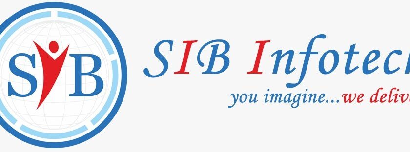 SIB Infotech Earns Google Premier Partner Status, Elevating Digital Marketing Solutions 