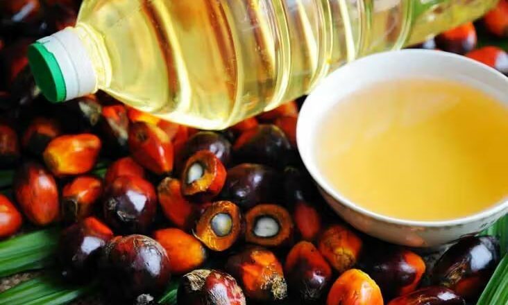 Palm oil scores high on ICMR-NIN’s 2024 Updated Dietary Guidelines for Indians