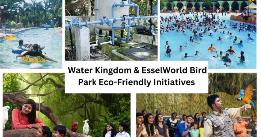 Water Kingdom: Sustainable Practices and Eco-friendly Initiatives on World Environment Day 2024