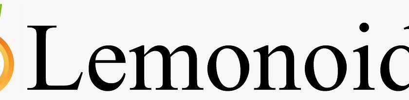 Lemonoids: Digital Marketing Training in Hyderabad