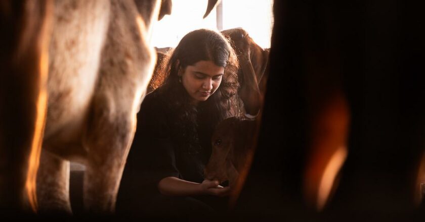 “From PCOS to Protein Powerhouse: How One Woman’s Health Journey Birthed Jogurt, India’s Clean-Label Greek Yogurt Revolution”