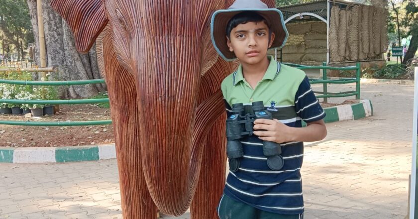 The Incredible Journey of Vignesh Arunkumar: A Young Prodigy’s Path to Excellence