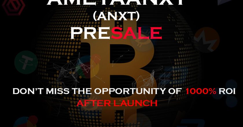 Unlocking Financial Potential with Ameyaa NXT LLC