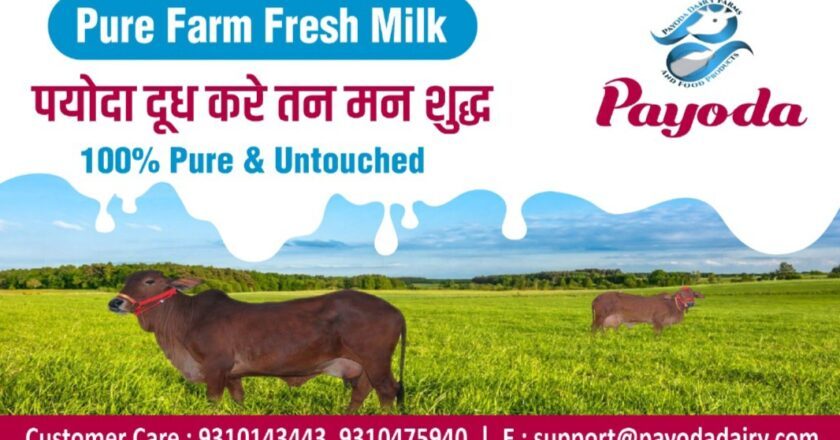 Payoda Dairy Introduces Farm-to-Table Dairy Products in Gurgaon, Bhiwadi, Manesar and Dharuhera