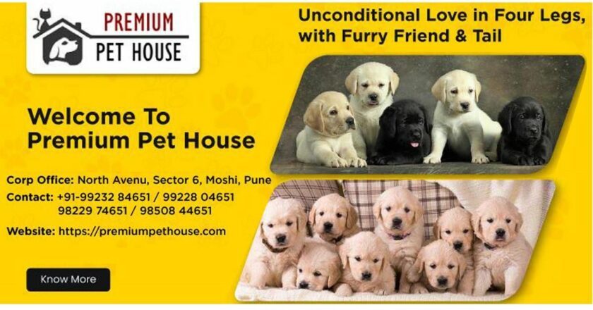 Popular Dog Breeders Premium Pet House And BestForPets Part Ways