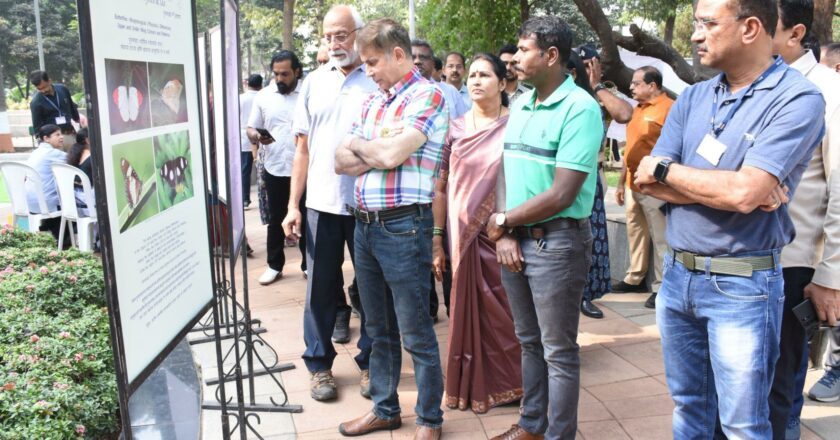 Where Wings Whisper Hope: Mumbai Unites for Butterfly Conservation