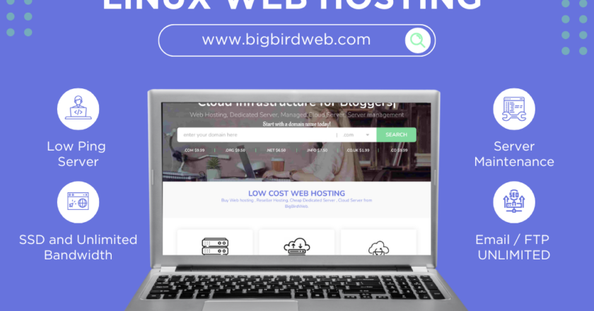 Bigbirdweb: Celebrating Over a Decade of Global Excellence in Managed Web Hosting