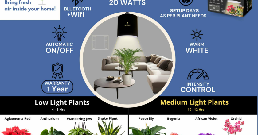 BASICS: Plant Light + Indoor Plants = Healthier Air & Healthier You