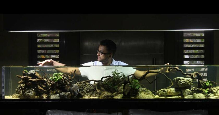 Bringing Aquascaping to the Forefront of Modern Design in India – Abhik Mazumdar, Founder, Reef and Stream
