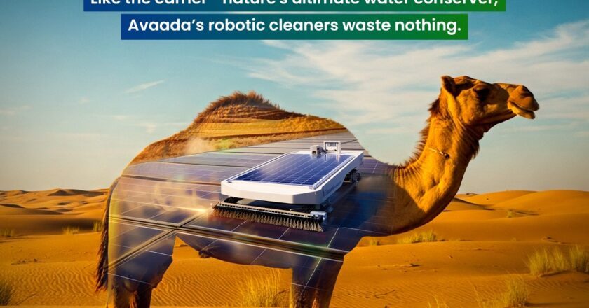 Mission Possible with Avaada: Inspiring Collective Climate Action on World Environment Day