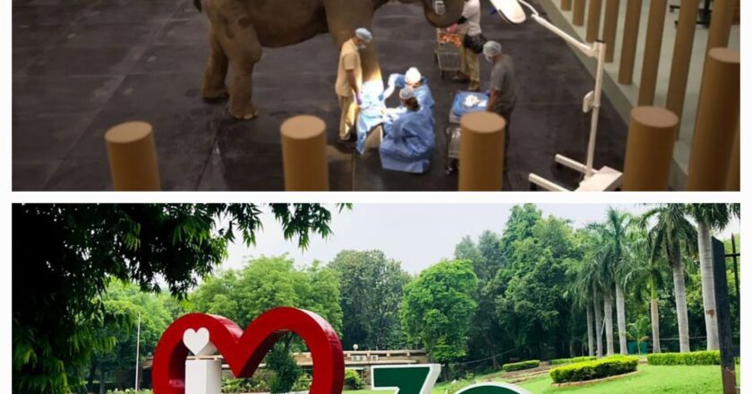 A New Chapter in Animal Conservation: Vantara Champions a People-Centric, Compassion-Driven Partnership with the Delhi Zoo