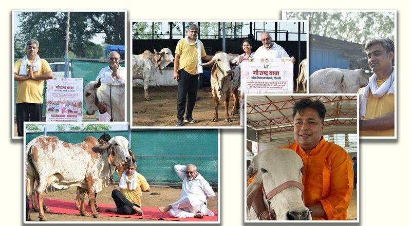 Yoga with Gaumata: Inspired by the Spirit of Gau Rashtra Yatra