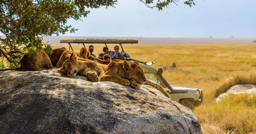 Explore Wild Africa in Luxury with Joy N Crew’s Kenya Tour