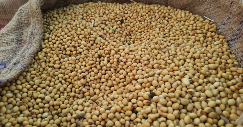 India’s Non-GMO Soy Sector Prepares for EUDR Compliance with Support from SOPA and TRST01