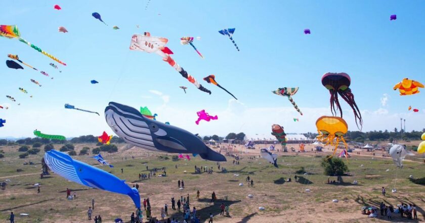 Tamil Nadu to Host 4th Edition of International Kite Festival in Mahabalipuram, Spotlighting Marine Conservation and Boosting Domestic Tourism