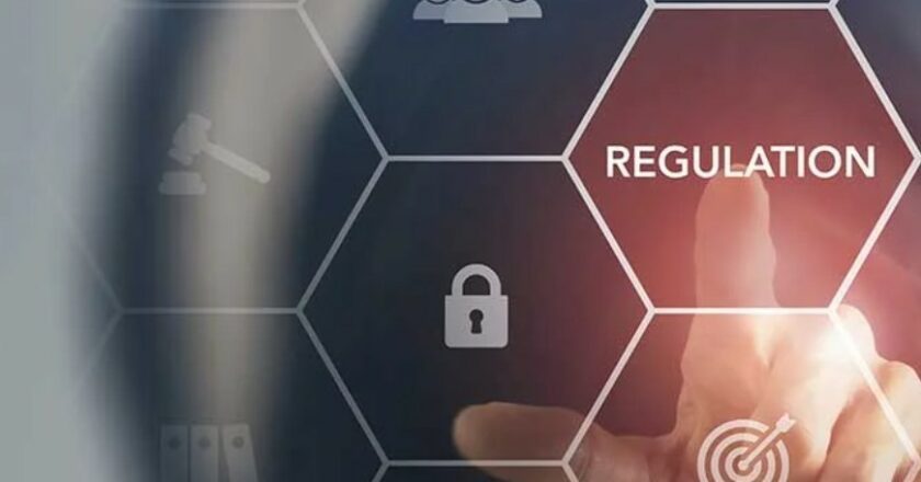 Navigating Tech Regulation: Insights from Global Experiences