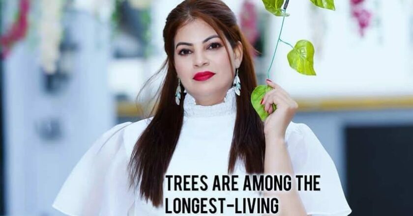 Ayesha Zaki: A Green Crusader Leading the Charge for Reforestation and Forest Conservation