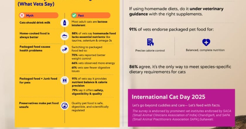 New Data Debunks Cat Food Myths with Veterinary Support on International Cat Day