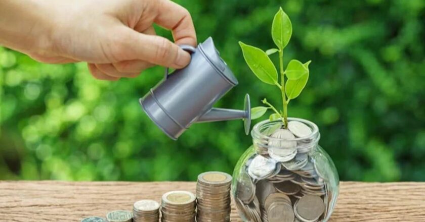 Savings Plan vs Term Insurance: What Budget 2025 Means for Your Financial Strategy