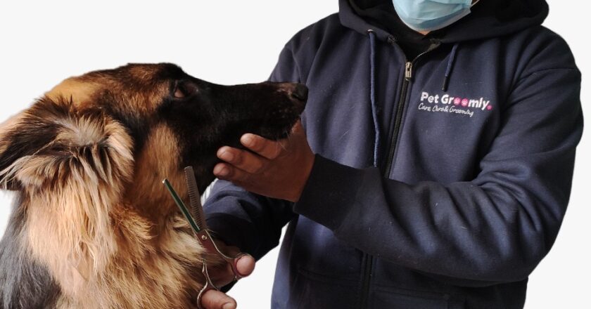 Skip the Trip: Pet Groomly Brings Full Pet Wellness Services to You, Nationwide