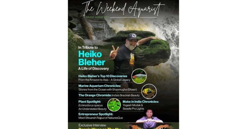 The Weekend Aquarist Magazine (August) Issue: A Special Commemorative Edition Honouring Heiko Bleher