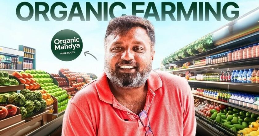Organic Mandya : Farmers Growing Healthy Food