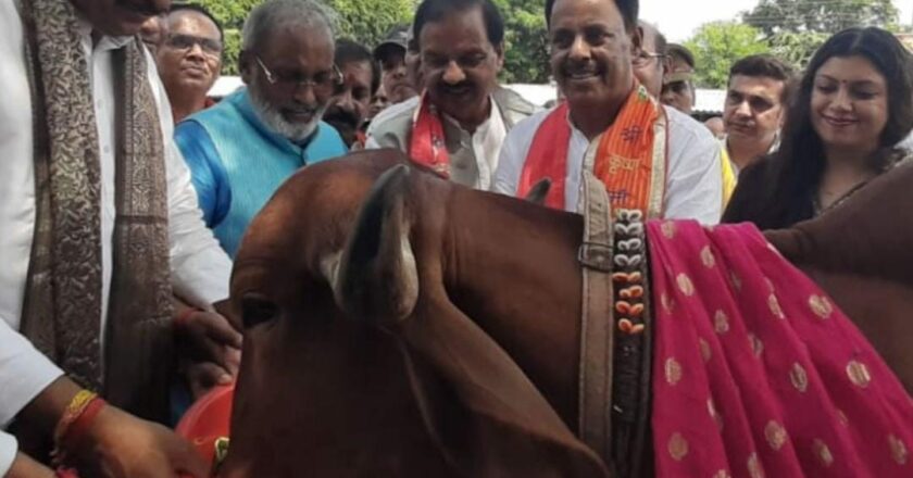 UP Deputy CM Brajesh Pathak Inspects Noida Sector-14 Cow Shelter