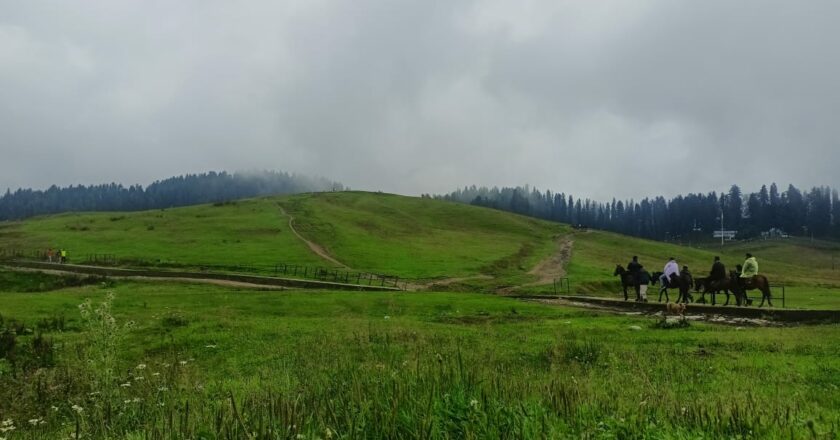 Kashmir Tour Mart: Pioneering Travel Experiences from Srinagar Since 2006