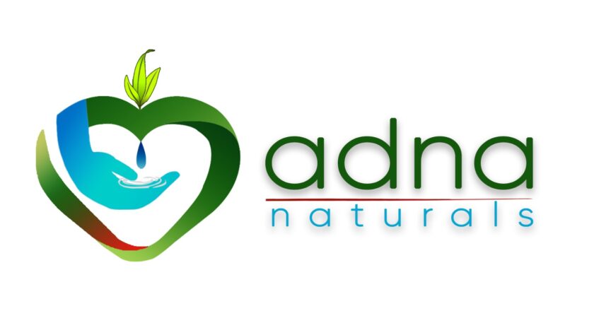ADNA Naturals: India’s First Herbal Baby Balm and the Legacy of NaniMaa Care