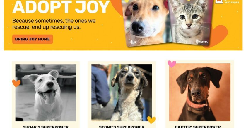 Heads Up For Tails (HUFT) Launches ‘Adopt Joy’ Directory to Help Pets in Need Across India Find Homes