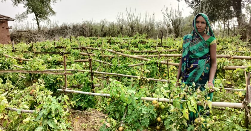 India Needs to Rebuild Rural Systems for Long-Term Food Security: Action for Social Advancement (ASA)