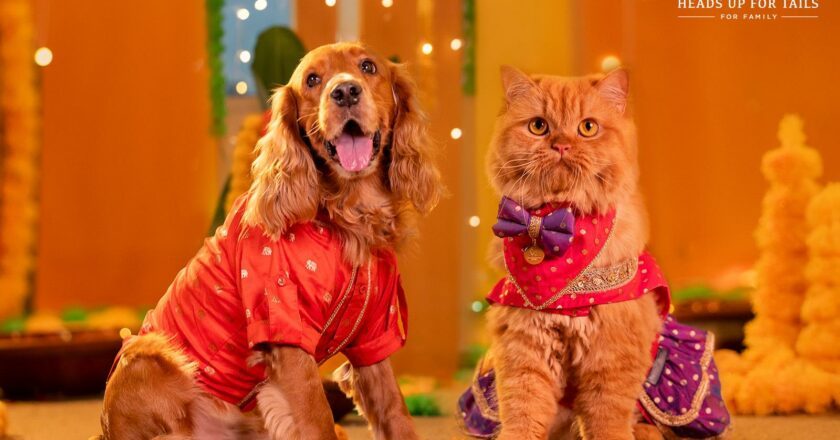 HUFT Launches ‘Dil Se Desi’ — A Festive Collection That Celebrates Pets as Family