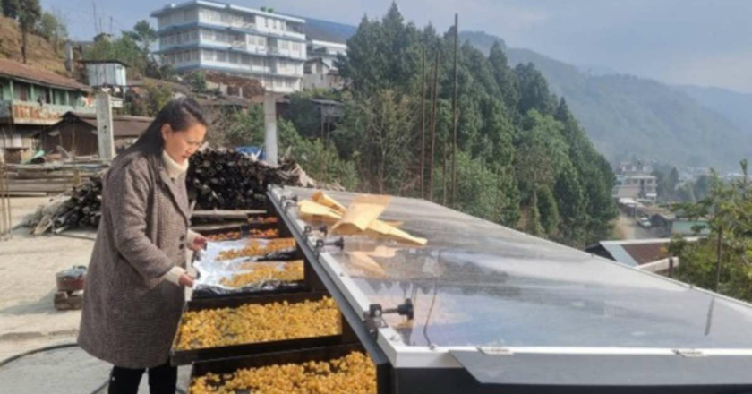 NEIDA x Rudra Solar Energy: Empowering Nagaland’s Hill Entrepreneurs with Clean Drying Technology