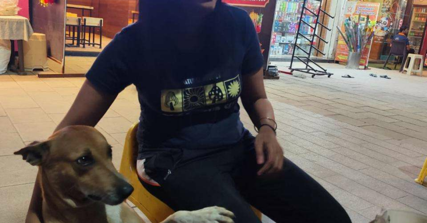 “A Plea for Compassion: Embracing Our Responsibility Towards Dogs”